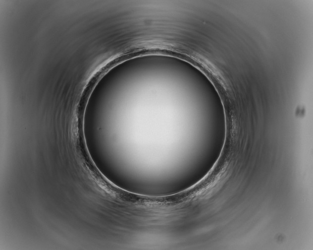 X0000100370782200806061154