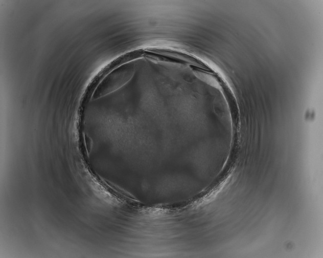 X0000100370783200806061154