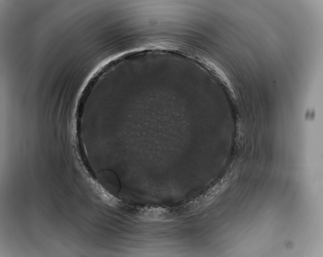 X0000100370784200806061154