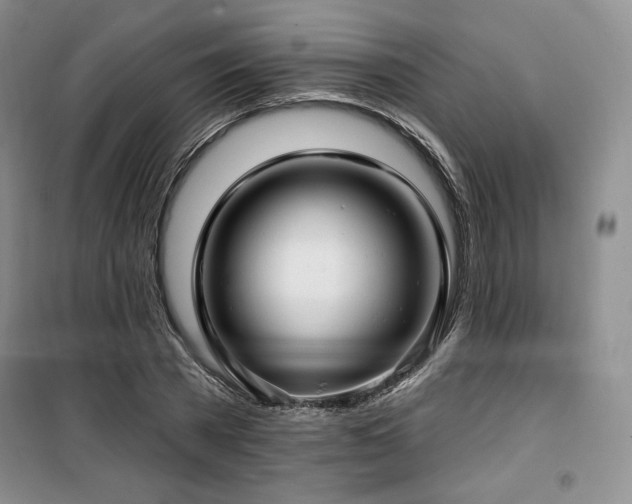 X0000100370785200806061154