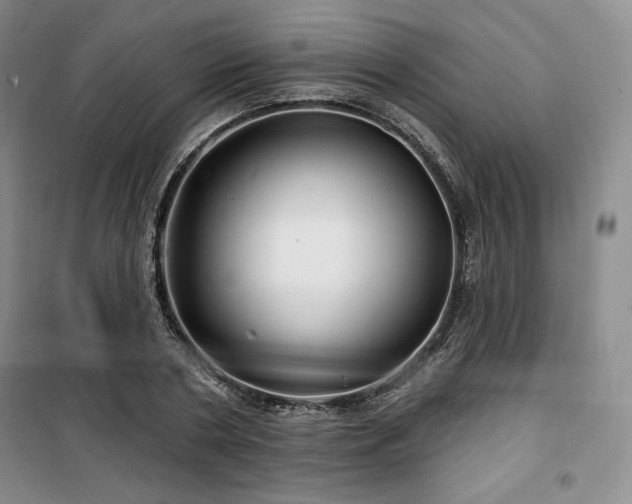 X0000100370786200806061154
