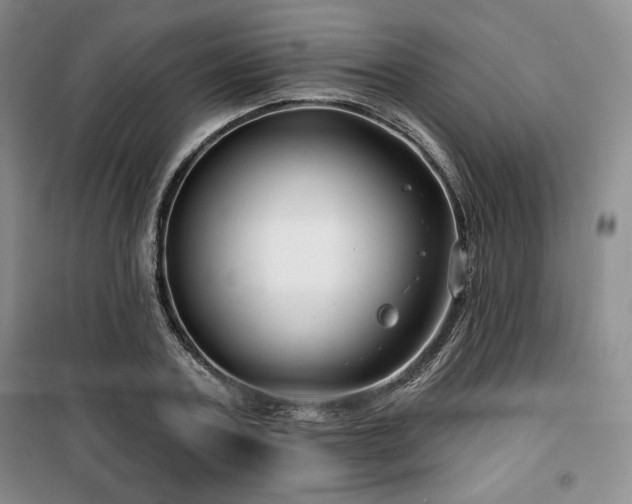 X0000100370787200806061154