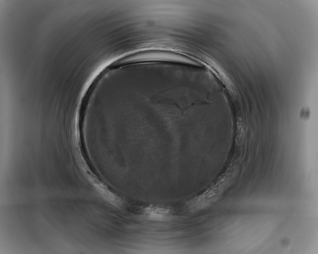 X0000100370788200806061154