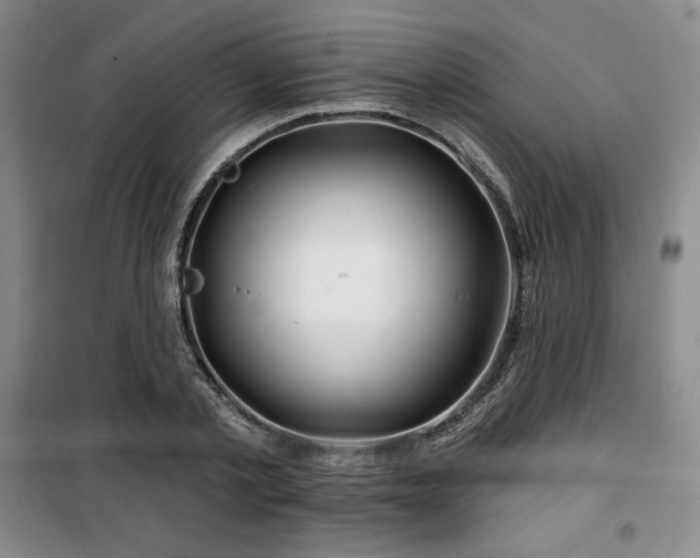 X0000100370789200806061154