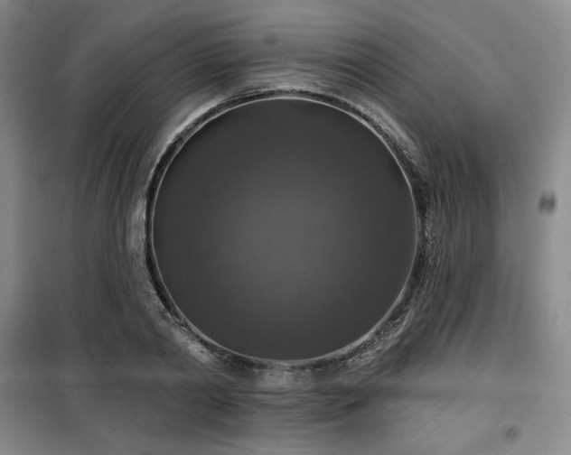 X0000100370790200806061154