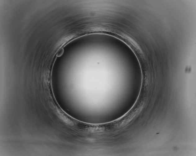 X0000100370793200806061154