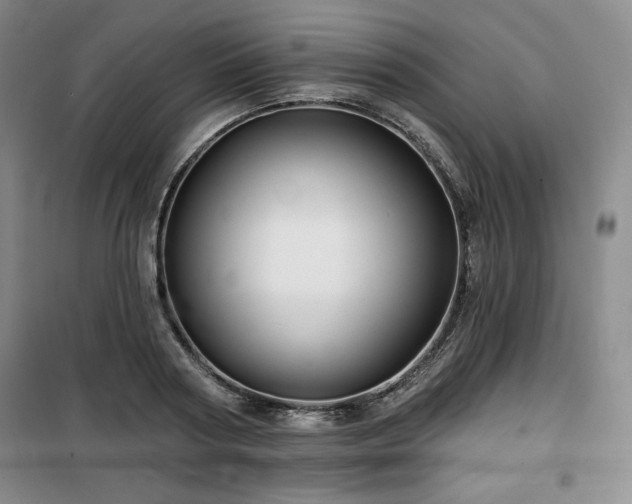 X0000100370794200806061154