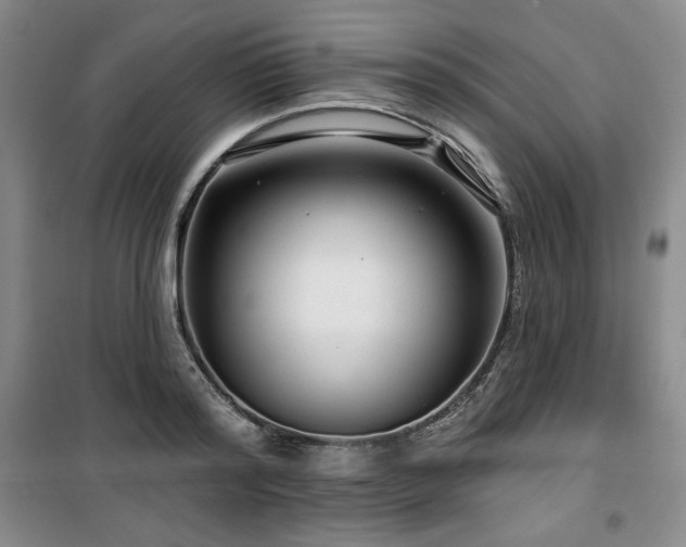 X0000100370796200806061154