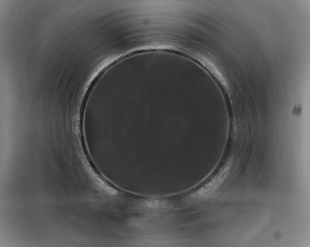 X0000100370797200806061154