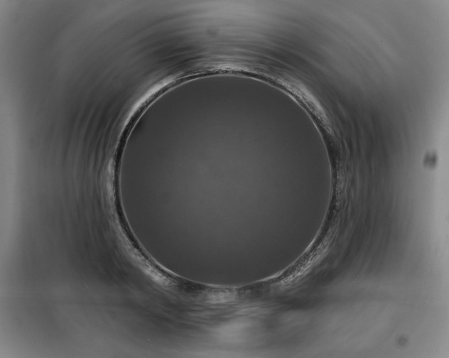 X0000100370798200806061154