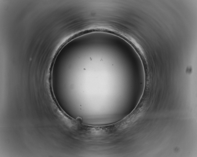 X0000100370799200806061154