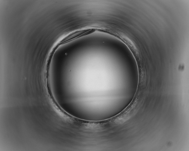 X0000100370800200806061154