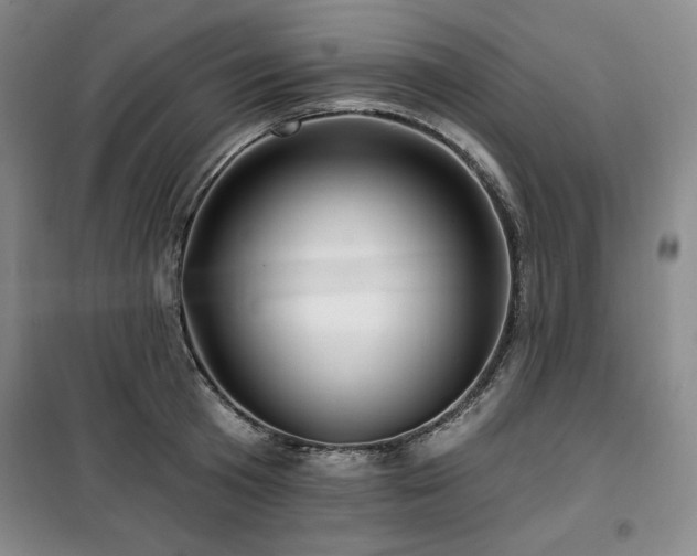 X0000100370801200806061154