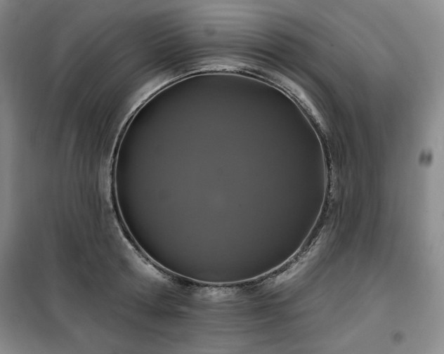 X0000100370802200806061154