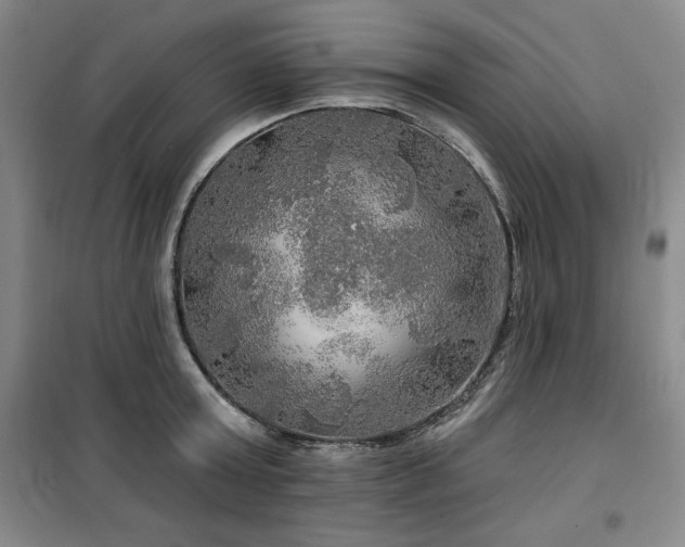 X0000100370803200806061154