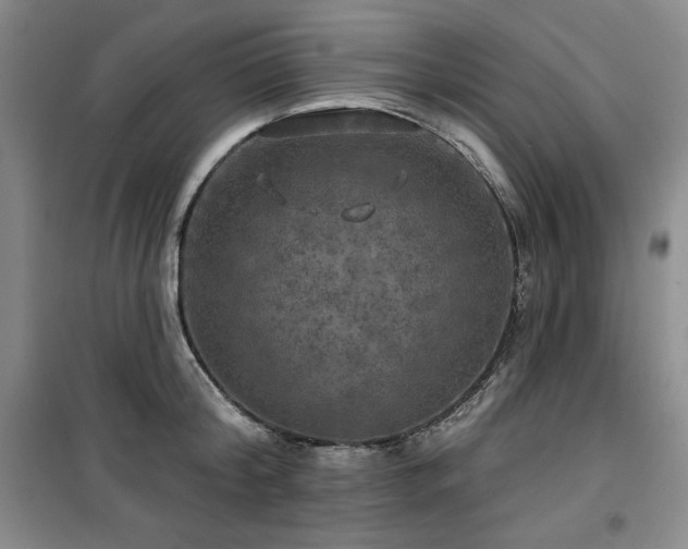 X0000100370804200806061154
