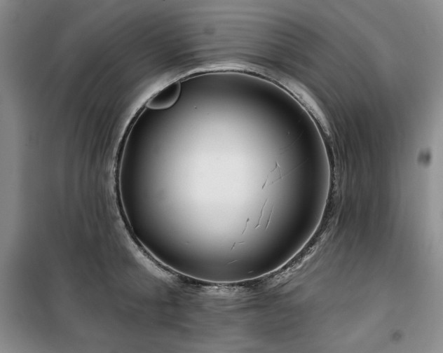 X0000100370805200806061154