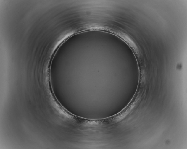X0000100370806200806061154