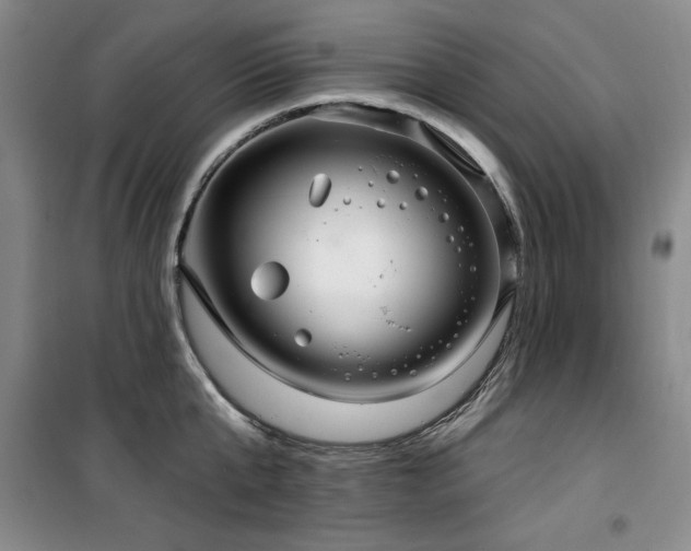 X0000100370807200806061154