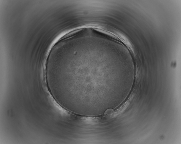 X0000100370808200806061154
