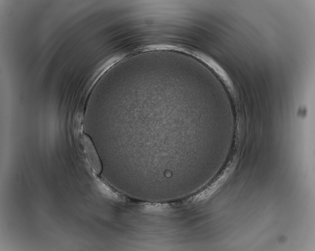 X0000100370809200806061154