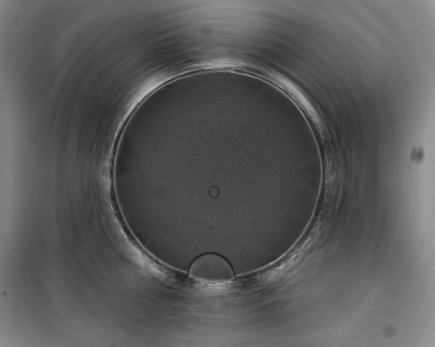 X0000100370810200806061154