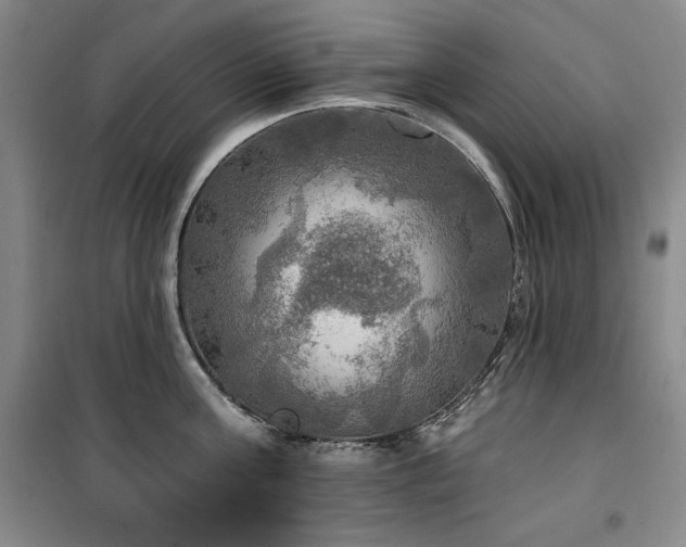 X0000100370811200806061154