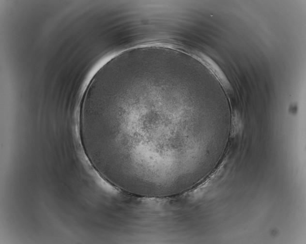 X0000100370812200806061154