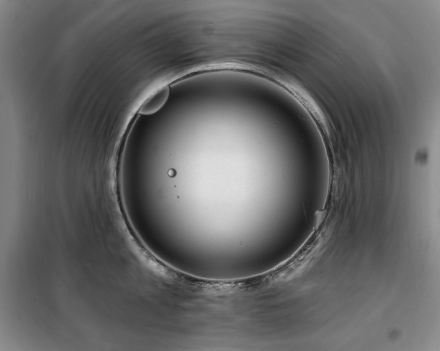 X0000100370813200806061154