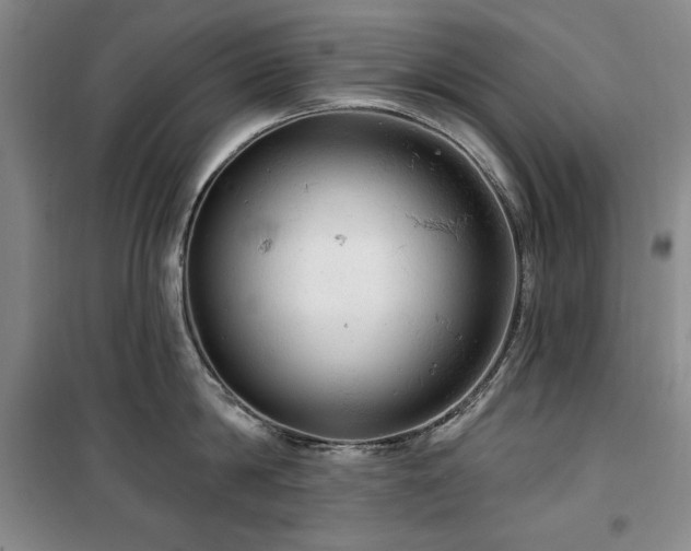 X0000100370814200806061154