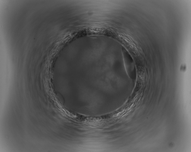 X0000100370817200806061153