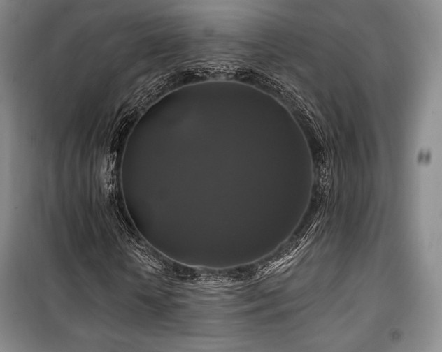 X0000100370818200806061153