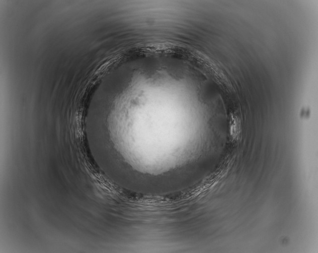 X0000100370819200806061153