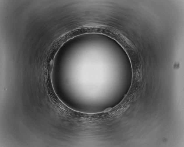 X0000100370821200806061153