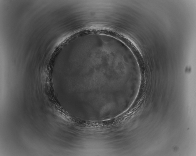 X0000100370823200806061153