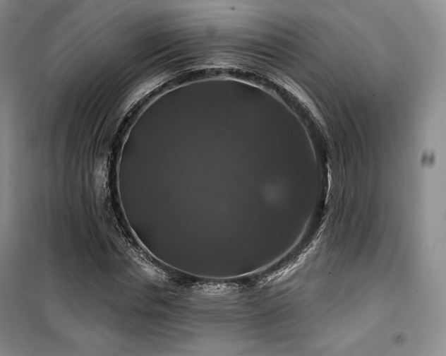 X0000100370826200806061153