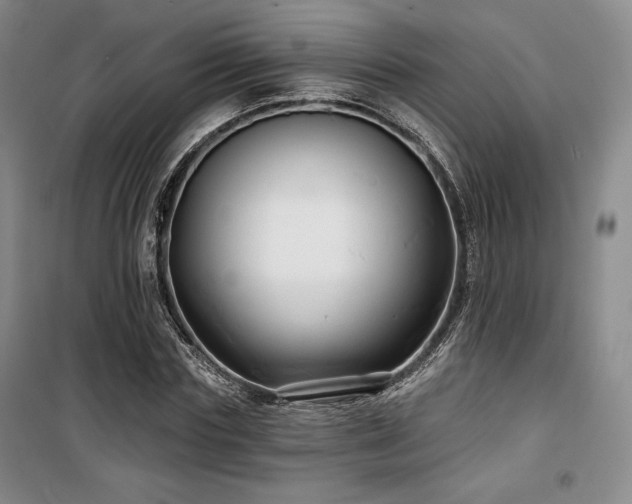 X0000100370827200806061153