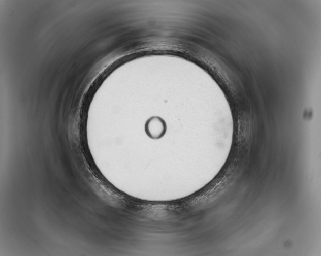 X0000100370828200806061153