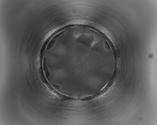 X0000100370829200806061153