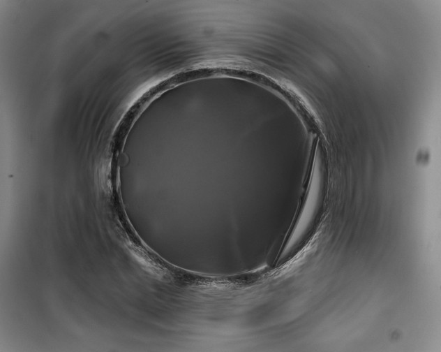 X0000100370830200806061153