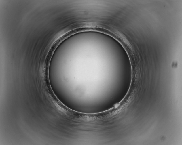 X0000100370831200806061153