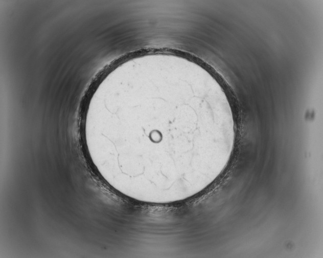 X0000100370832200806061153