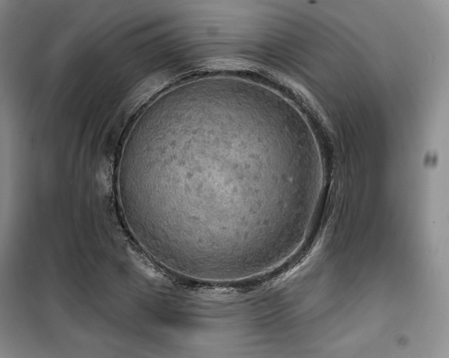 X0000100370833200806061153