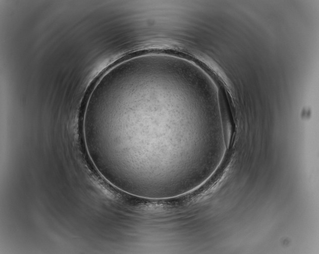 X0000100370834200806061153