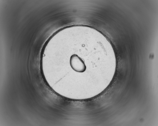 X0000100370836200806061153