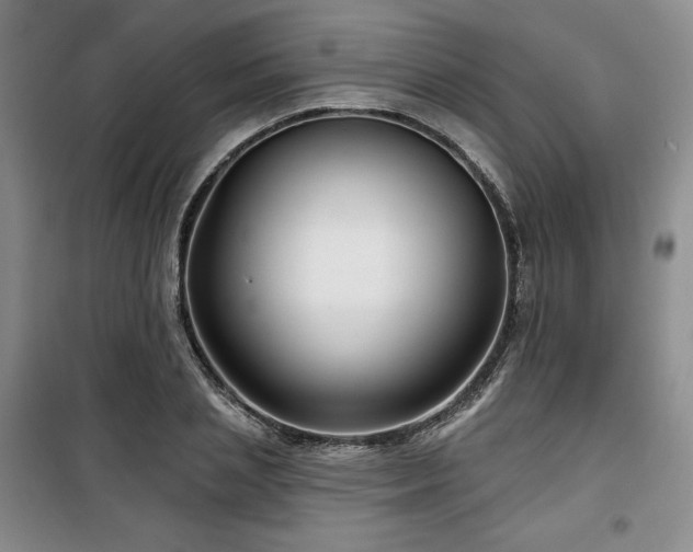 X0000100370837200806061153