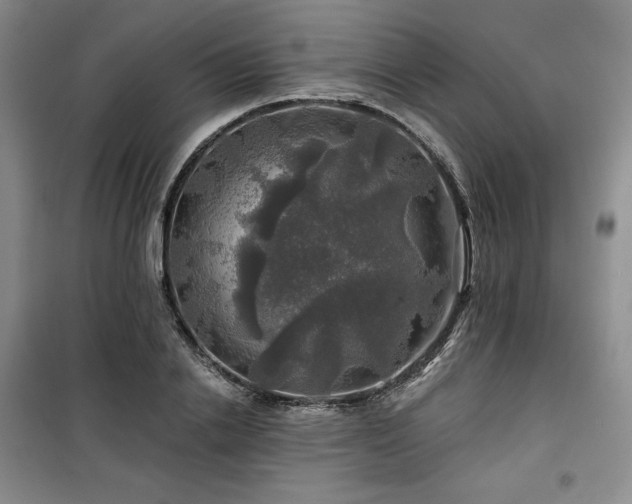 X0000100370838200806061153