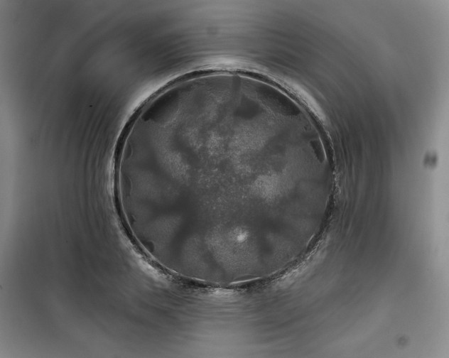 X0000100370839200806061153