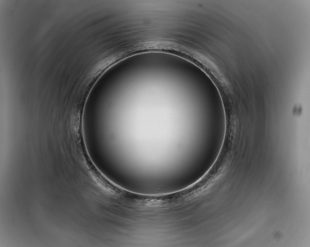 X0000100370841200806061153