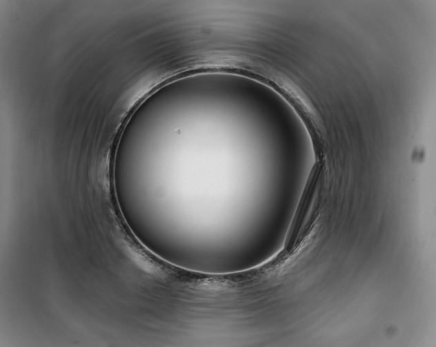 X0000100370842200806061154